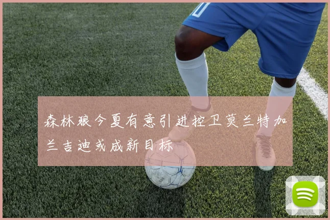 森林狼今夏有意引进控卫莫兰特加兰吉迪或成新目标
